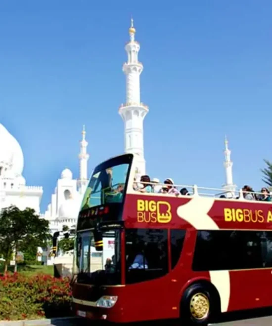 Big Bus Sightseeing Tour