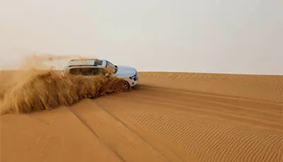 Morning Desert Safari